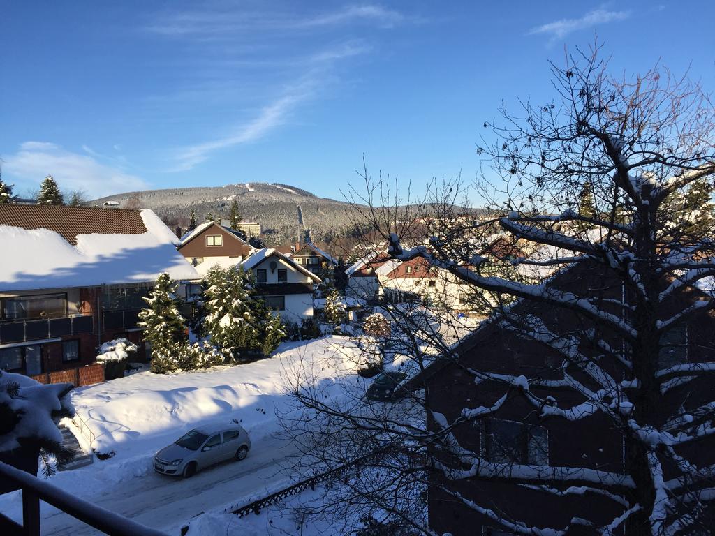 Hexe I - Mit Blick Auf Den Wurmberg Lejlighed Braunlage Eksteriør billede