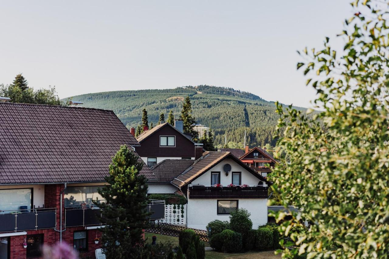 Hexe I - Mit Blick Auf Den Wurmberg Lejlighed Braunlage Eksteriør billede
