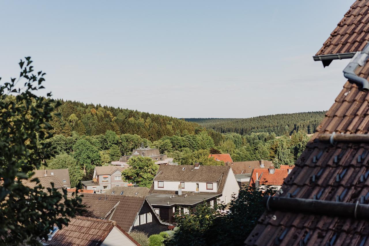 Hexe I - Mit Blick Auf Den Wurmberg Lejlighed Braunlage Eksteriør billede